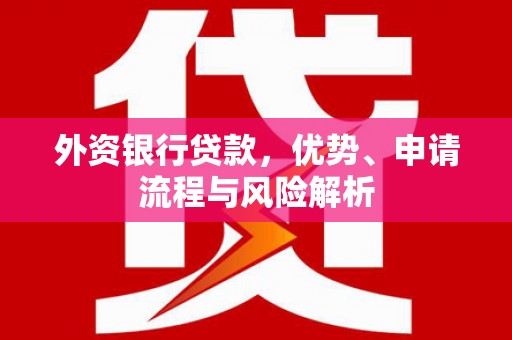 浑南外资银行贷款，优势、申请流程与风险解析