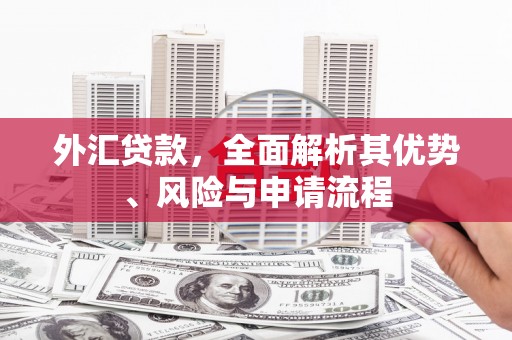 浑南外汇贷款，全面解析其优势、风险与申请流程
