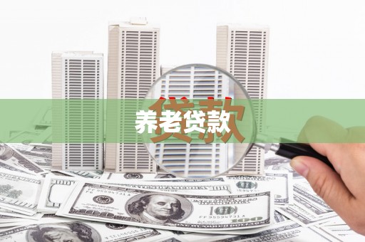 浑南养老贷款