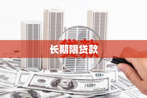 浑南长期限贷款