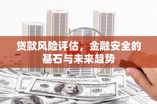 浑南贷款风险评估，金融安全的基石与未来趋势