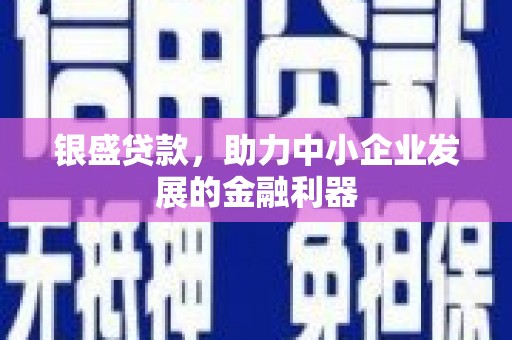 浑南银盛贷款，助力中小企业发展的金融利器