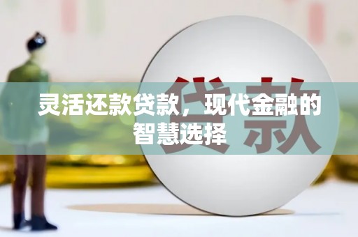 浑南灵活还款贷款，现代金融的智慧选择