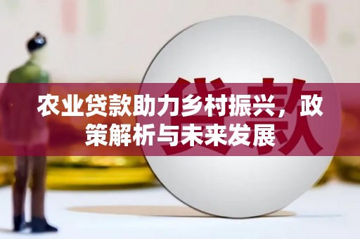 浑南农业贷款助力乡村振兴，政策解析与未来发展