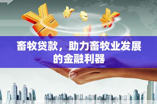 浑南畜牧贷款，助力畜牧业发展的金融利器