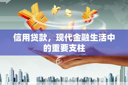 浑南信用贷款，现代金融生活中的重要支柱