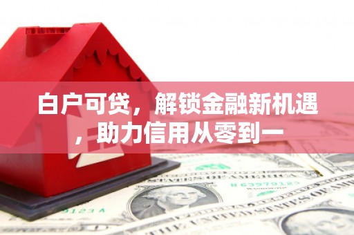 浑南白户可贷，解锁金融新机遇，助力信用从零到一