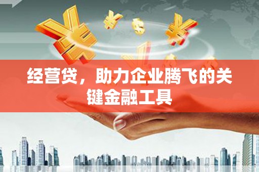 浑南经营贷，助力企业腾飞的关键金融工具