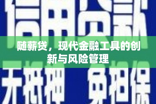 浑南随薪贷，现代金融工具的创新与风险管理