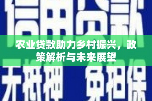 浑南农业贷款助力乡村振兴，政策解析与未来展望