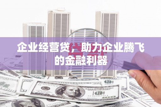 浑南企业经营贷，助力企业腾飞的金融利器