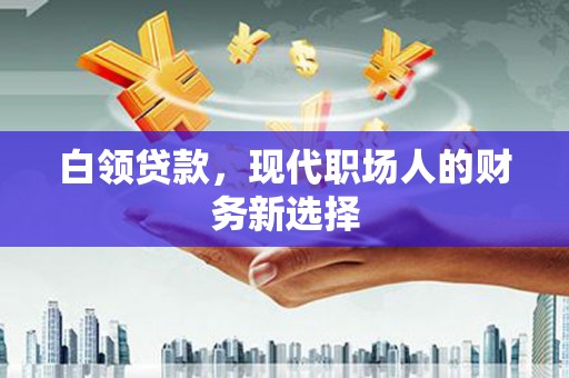 浑南白领贷款，现代职场人的财务新选择