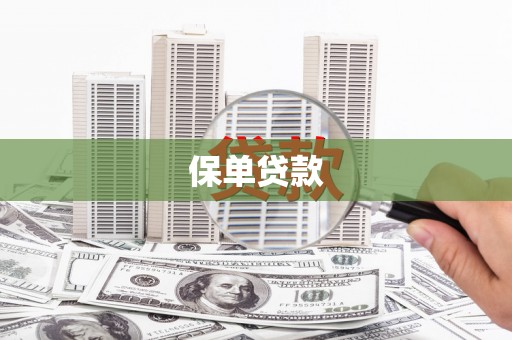 浑南保单贷款