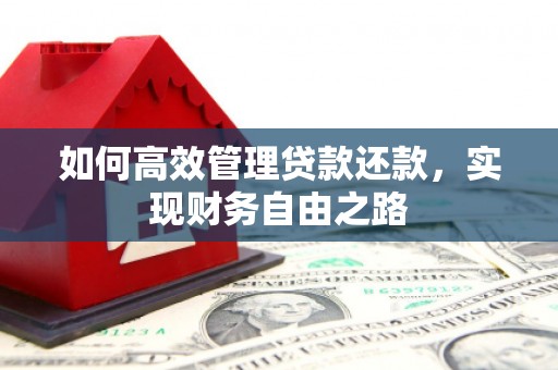 浑南如何高效管理贷款还款，实现财务自由之路