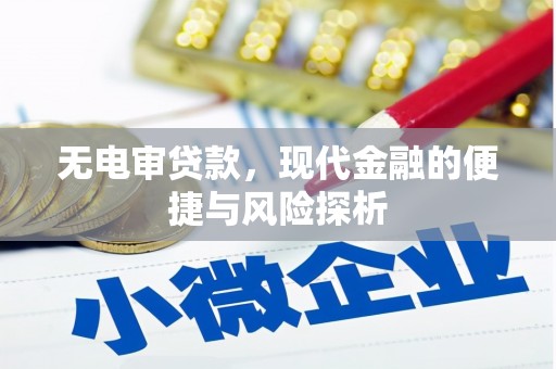 浑南无电审贷款，现代金融的便捷与风险探析