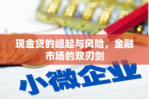 浑南现金贷的崛起与风险，金融市场的双刃剑