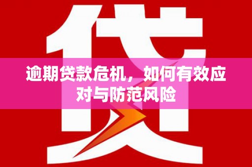 浑南逾期贷款危机，如何有效应对与防范风险