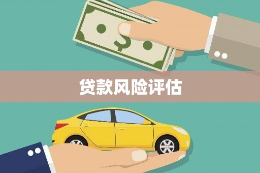 浑南贷款风险评估