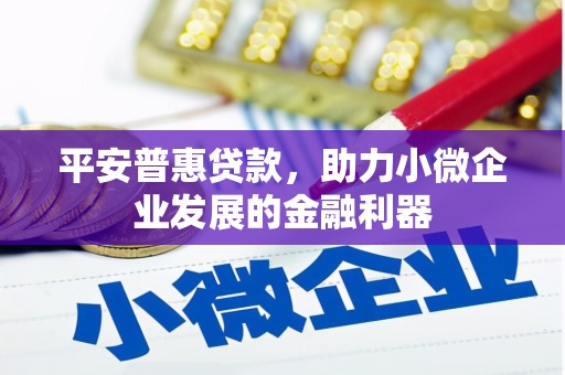 浑南平安普惠贷款，助力小微企业发展的金融利器