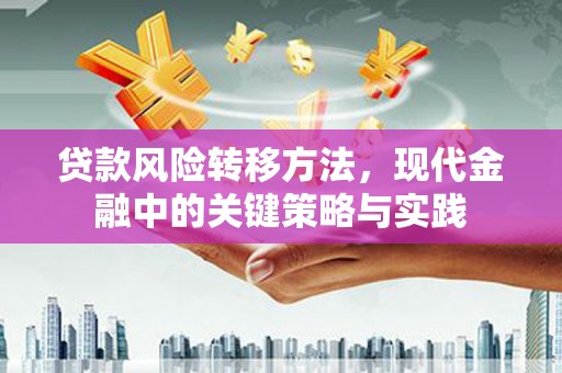 浑南贷款风险转移方法，现代金融中的关键策略与实践