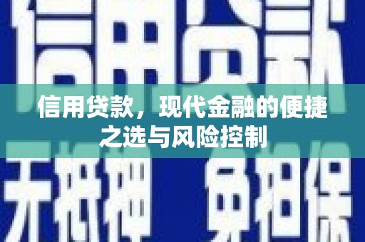 浑南信用贷款，现代金融的便捷之选与风险控制