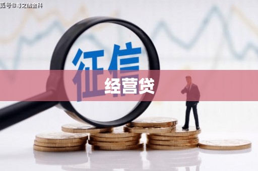 浑南经营贷