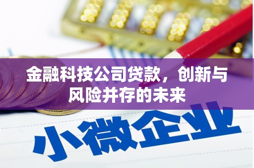 浑南金融科技公司贷款，创新与风险并存的未来