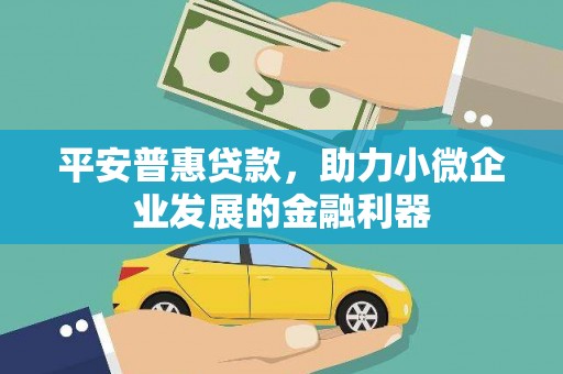 浑南平安普惠贷款，助力小微企业发展的金融利器