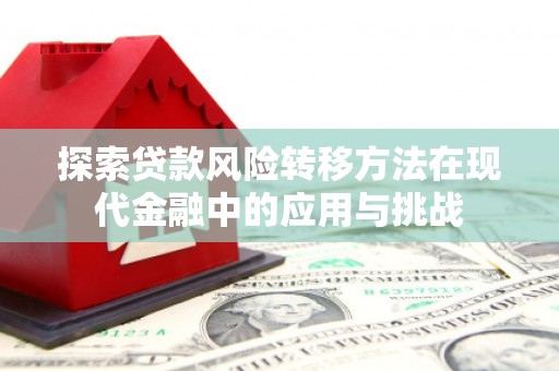 浑南探索贷款风险转移方法在现代金融中的应用与挑战
