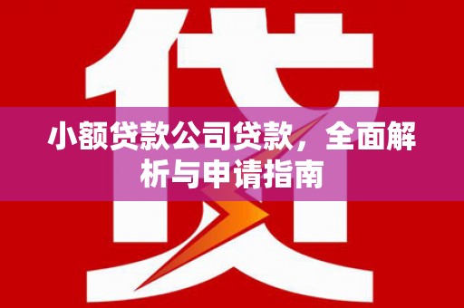 浑南小额贷款公司贷款，全面解析与申请指南
