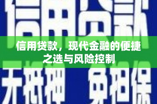 浑南信用贷款，现代金融的便捷之选与风险控制