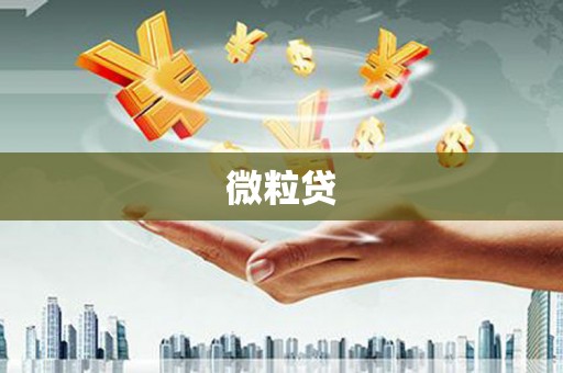 浑南微粒贷