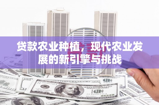 浑南贷款农业种植，现代农业发展的新引擎与挑战