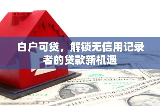 浑南白户可贷，解锁无信用记录者的贷款新机遇