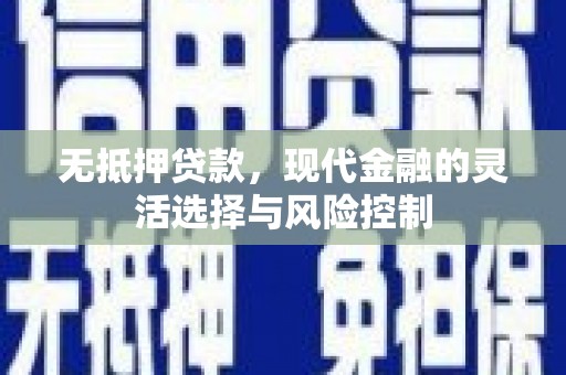 浑南无抵押贷款，现代金融的灵活选择与风险控制