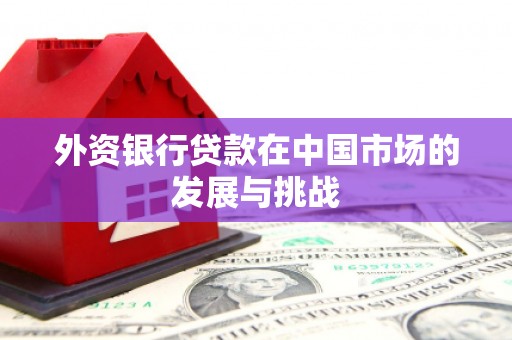浑南外资银行贷款在中国市场的发展与挑战