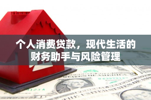 浑南个人消费贷款，现代生活的财务助手与风险管理