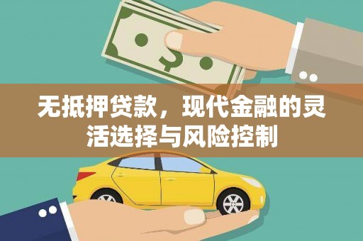 浑南无抵押贷款，现代金融的灵活选择与风险控制
