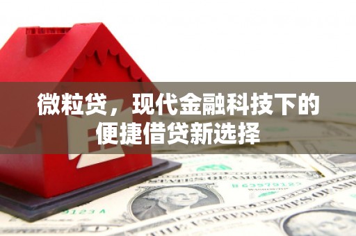 浑南微粒贷，现代金融科技下的便捷借贷新选择