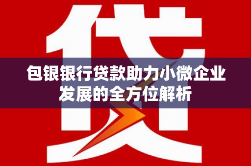 浑南包银银行贷款助力小微企业发展的全方位解析