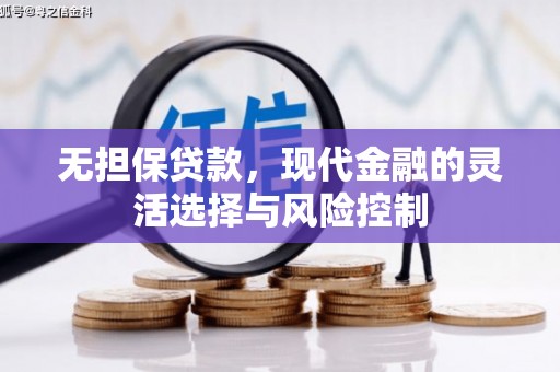 浑南无担保贷款，现代金融的灵活选择与风险控制