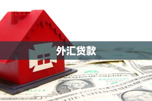 浑南外汇贷款