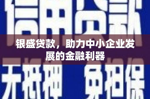 浑南银盛贷款，助力中小企业发展的金融利器