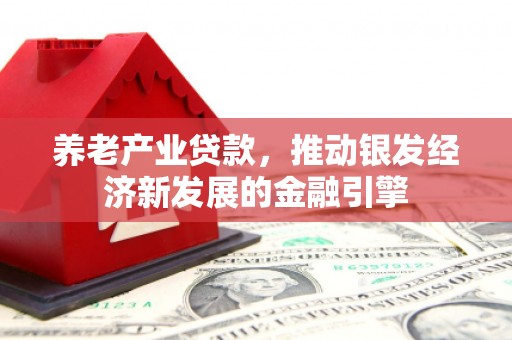 浑南养老产业贷款，推动银发经济新发展的金融引擎