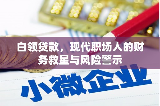 浑南白领贷款，现代职场人的财务救星与风险警示