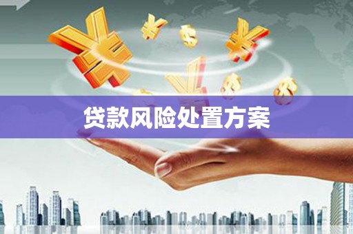 浑南贷款风险处置方案
