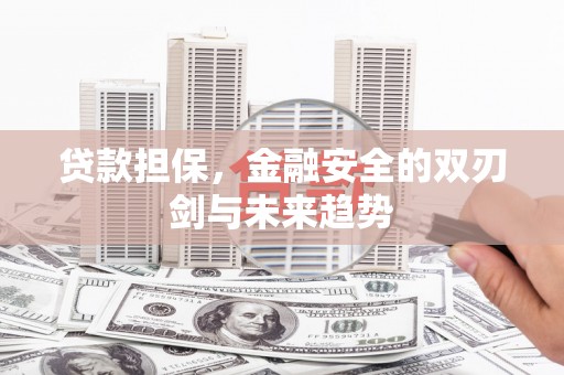 浑南贷款担保，金融安全的双刃剑与未来趋势