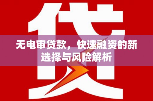 浑南无电审贷款，快速融资的新选择与风险解析