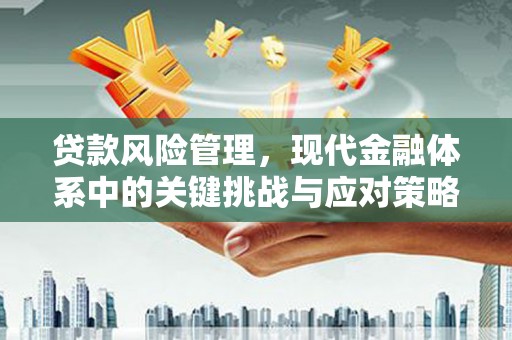 浑南贷款风险管理，现代金融体系中的关键挑战与应对策略