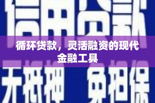 浑南循环贷款，灵活融资的现代金融工具